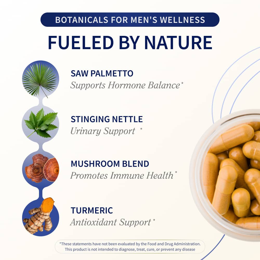 Snap Supplements Prostate HealthSupplement with Nettle Root & Saw Palmettofor Men, DHT Blocker - Helps Support MaleUrinary Tract and Prostate for Mens Health, 90Vegetarian Capsules (30-Day Supply)