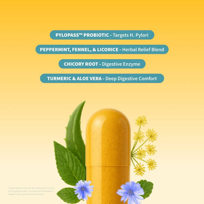 Snap Supplements Gut Health Lipase Supplement with Probiotics for Women & Men, Digestive Enzymes & Prebiotics - Turmeric, Aloe, Pylopass & Zinc, 50 Vegetarian Capsules